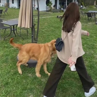 死者