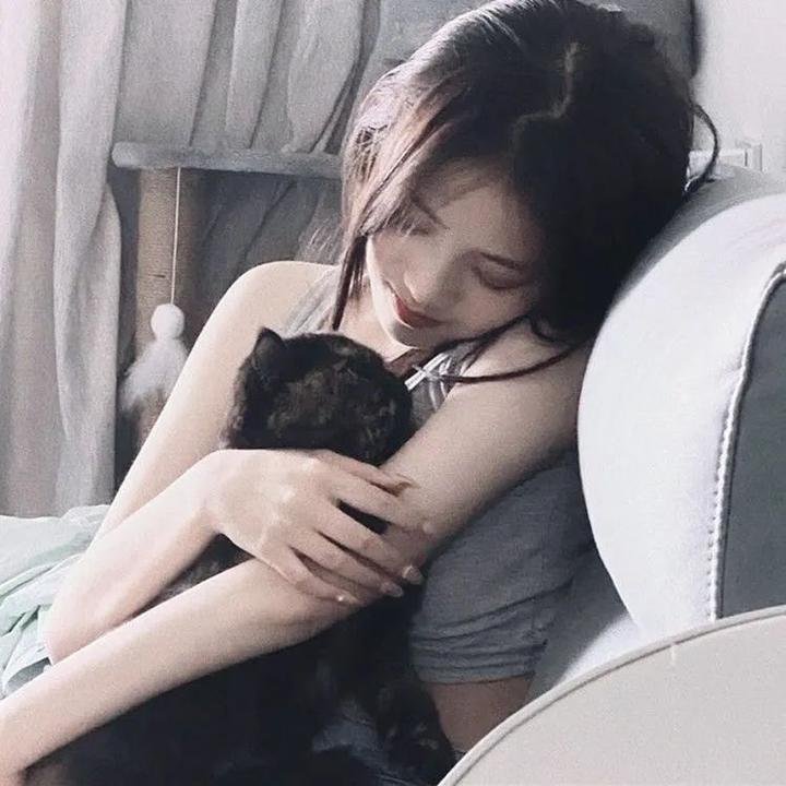 火线追凶2之鹈鹕行动